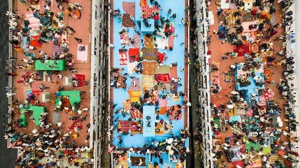 Croquettes sans céréales: choix sains pour chats