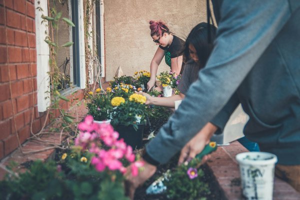 Quelles initiatives pour encourager les pratiques de jardinage urbain durable parmi les résidents ?
